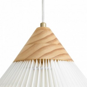 Подвесной светильник Freya Kinsley FR5533PL-01BS в Советском - sovetskiy.ok-mebel.com | фото 8