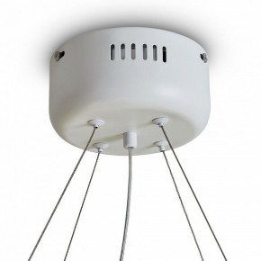 Подвесной светильник Freya Rain FR5546PL-L60W в Советском - sovetskiy.ok-mebel.com | фото 9