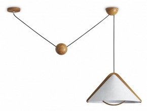 Подвесной светильник Freya Umbra FR5554CL-01T в Советском - sovetskiy.ok-mebel.com | фото