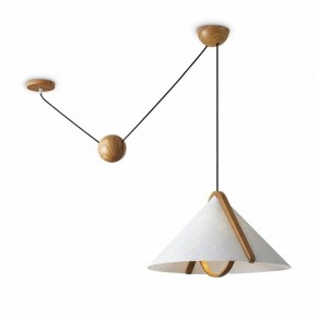 Подвесной светильник Freya Umbra FR5554CL-01T в Советском - sovetskiy.ok-mebel.com | фото 2