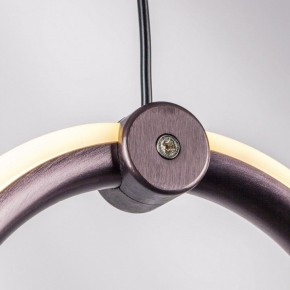 Подвесной светильник Lightstar Caramello 796139 в Советском - sovetskiy.ok-mebel.com | фото 5