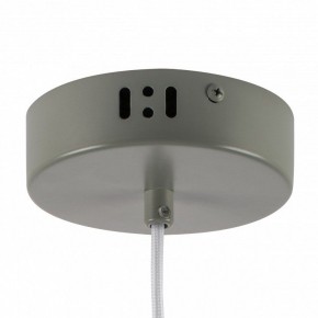 Подвесной светильник Lightstar Erbareo 799019 в Советском - sovetskiy.ok-mebel.com | фото 5