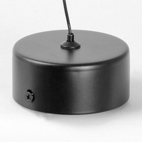 Подвесной светильник Lussole Blount LSP-7356 в Советском - sovetskiy.ok-mebel.com | фото 6