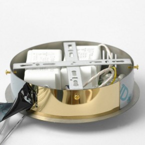 Подвесной светильник Lussole Citrus LSP-7158 в Советском - sovetskiy.ok-mebel.com | фото 6