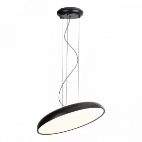 Подвесной светильник Lussole Crook LSP-7360 в Советском - sovetskiy.ok-mebel.com | фото 2