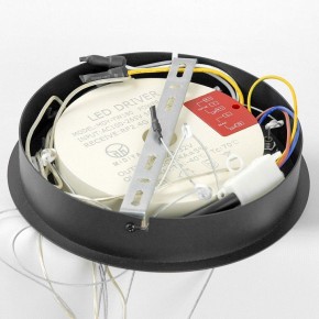 Подвесной светильник Lussole Hale LSP-7380 в Советском - sovetskiy.ok-mebel.com | фото 6