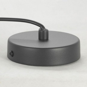 Подвесной светильник Lussole LSP-849 LSP-8490 в Советском - sovetskiy.ok-mebel.com | фото 6
