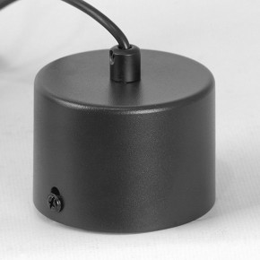 Подвесной светильник Lussole Milam LSP-7450 в Советском - sovetskiy.ok-mebel.com | фото 7