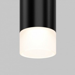 Подвесной светильник Maytoni Skim TR191-1-3W4K-M-B в Советском - sovetskiy.ok-mebel.com | фото 2