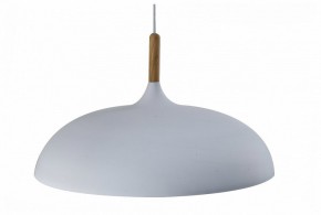 Подвесной светильник Moderli Hygo V11447-1P в Советском - sovetskiy.ok-mebel.com | фото