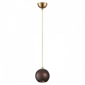 Подвесной светильник Odeon Light Caucho 7062/1 в Советском - sovetskiy.ok-mebel.com | фото 4