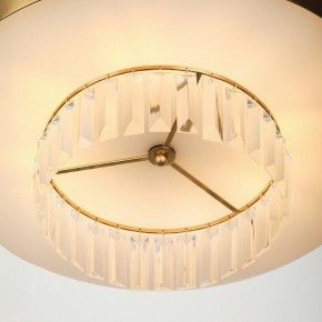 Подвесной светильник Rivoli Vickie Б0061902 в Советском - sovetskiy.ok-mebel.com | фото 11