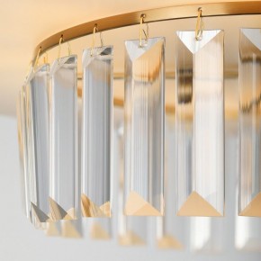 Подвесной светильник Rivoli Vickie Б0061902 в Советском - sovetskiy.ok-mebel.com | фото 13