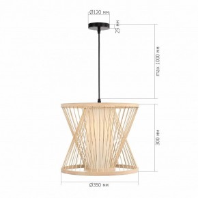 Подвесной светильник ST-Luce ALMA SL6241.503.01 в Советском - sovetskiy.ok-mebel.com | фото 5