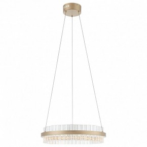 Подвесной светильник ST-Luce Cherio SL383.203.01 в Советском - sovetskiy.ok-mebel.com | фото 3