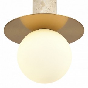 Подвесной светильник ST-Luce Earthy SL1194.303.01 в Советском - sovetskiy.ok-mebel.com | фото 5