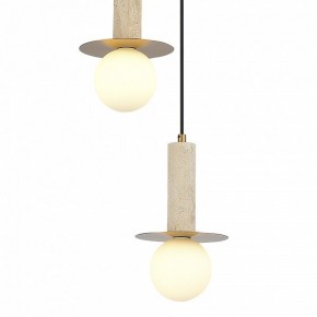 Подвесной светильник ST-Luce Earthy SL1194.303.03 в Советском - sovetskiy.ok-mebel.com | фото 4