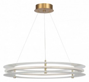 Подвесной светильник ST-Luce FAGY SL6245.203.01 в Советском - sovetskiy.ok-mebel.com | фото 3
