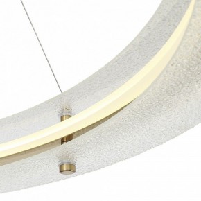 Подвесной светильник ST-Luce FAGY SL6245.213.01 в Советском - sovetskiy.ok-mebel.com | фото 6