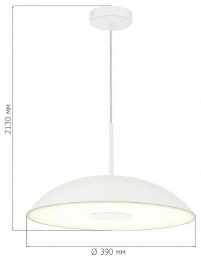 Подвесной светильник ST-Luce Lido SL6128.503.01 в Советском - sovetskiy.ok-mebel.com | фото 4