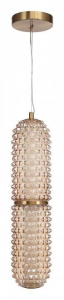 Подвесной светильник ST-Luce SAGUARO SL6144.303.01 в Советском - sovetskiy.ok-mebel.com | фото 3