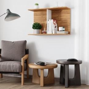Полка Ион-3 (крафт/белый) в Советском - sovetskiy.ok-mebel.com | фото 3