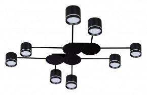Потолочная люстра Arte Lamp Legacy A8024PL-8BK в Советском - sovetskiy.ok-mebel.com | фото