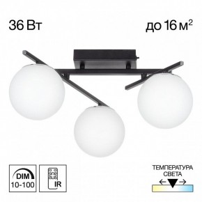 Потолочная люстра Citilux Dorsy CL223132 в Советском - sovetskiy.ok-mebel.com | фото 10
