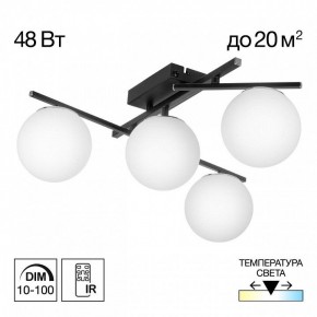 Потолочная люстра Citilux Dorsy CL223142 в Советском - sovetskiy.ok-mebel.com | фото 9