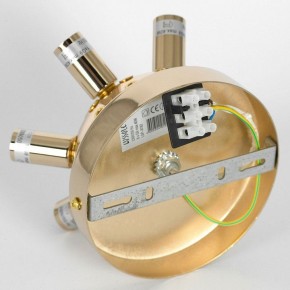 Потолочная люстра Lussole Davie LSP-8782 в Советском - sovetskiy.ok-mebel.com | фото 4