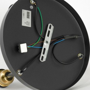 Потолочная люстра Lussole Mitchel LSP-8996 в Советском - sovetskiy.ok-mebel.com | фото 5