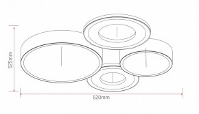 Потолочная люстра Rivoli Aliona Б0066451 в Советском - sovetskiy.ok-mebel.com | фото 11