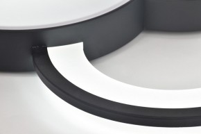 Потолочная люстра Rivoli Aliona Б0066452 в Советском - sovetskiy.ok-mebel.com | фото 10