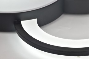 Потолочная люстра Rivoli Aliona Б0066452 в Советском - sovetskiy.ok-mebel.com | фото 12