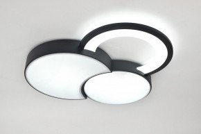 Потолочная люстра Rivoli Aliona Б0066452 в Советском - sovetskiy.ok-mebel.com | фото 8