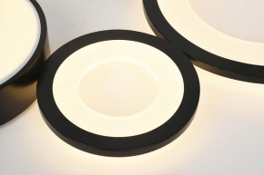 Потолочная люстра Rivoli Aliona Б0066468 в Советском - sovetskiy.ok-mebel.com | фото 5