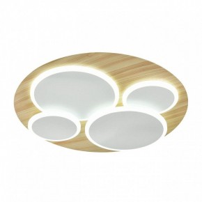 Потолочная люстра Sonex Pine 7734/60L в Советском - sovetskiy.ok-mebel.com | фото 5