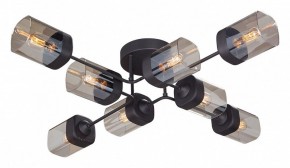 Потолочная люстра Vitaluce 4889 V4889-1/8PL в Советском - sovetskiy.ok-mebel.com | фото