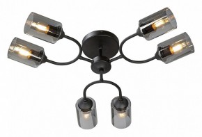 Потолочная люстра Vitaluce V2823 V2823-1/6PL в Советском - sovetskiy.ok-mebel.com | фото 2