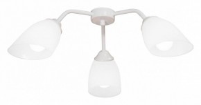 Потолочная люстра Vitaluce V31950 V31950/3PL в Советском - sovetskiy.ok-mebel.com | фото
