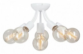 Потолочная люстра Vitaluce V3927 V3927-0/6PL в Советском - sovetskiy.ok-mebel.com | фото