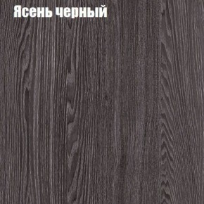 Прихожая ДИАНА-4 сек №7 (Ясень анкор/Дуб эльза) в Советском - sovetskiy.ok-mebel.com | фото 3