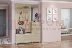 Прихожая Мелисса композиция 8 (Ясень Асахи) в Советском - sovetskiy.ok-mebel.com | фото