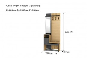 ОЛЬГА-ЛОФТ 1 Прихожая в Советском - sovetskiy.ok-mebel.com | фото 4