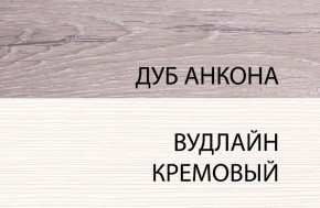 Шкаф 1DW, OLIVIA, цвет вудлайн крем/дуб анкона в Советском - sovetskiy.ok-mebel.com | фото 3