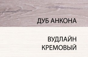 Шкаф 1DZ, OLIVIA, цвет вудлайн крем/дуб анкона в Советском - sovetskiy.ok-mebel.com | фото 3