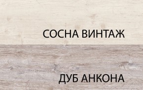 Шкаф 2D1S, MONAKO, цвет Сосна винтаж/дуб анкона в Советском - sovetskiy.ok-mebel.com | фото 1