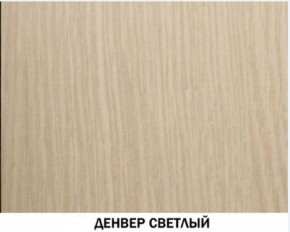 Шкаф для одежды №609 "Инна" Денвер светлый (*без полок) в Советском - sovetskiy.ok-mebel.com | фото 4
