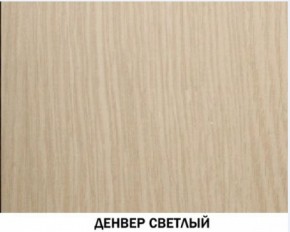 Шкаф для одежды №609 "Инна" Денвер светлый (*без полок) в Советском - sovetskiy.ok-mebel.com | фото 4