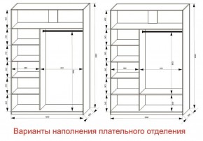 Шкаф-купе 1600 серии SOFT D1+D3+B2+PL1 (2 ящика+1штанга) профиль «Графит» в Советском - sovetskiy.ok-mebel.com | фото 6